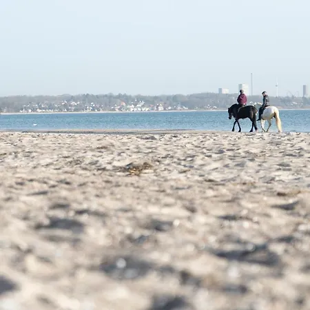 Wohnpark Am Muehlenteich - 34 アパート