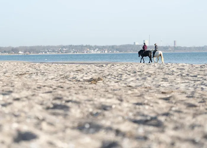 Wohnpark Am Muehlenteich - 34 Διαμέρισμα